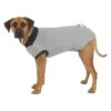 Trixie Veste De Protection / XS / 25 Cm 1 Trixie Veste De Protection / XS / 25 Cm -France Animalerie 1884d33198590d832ebdac9012c4444c574d27586c30133d8a8c83189dff1eb0 2