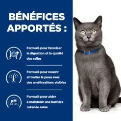 Hill's Prescription Diet D/D Pour Chat 13 Hill's Prescription Diet D/D Pour Chat -France Animalerie 52742027180 3 prescription diet chat d d croquettes canard petits pois