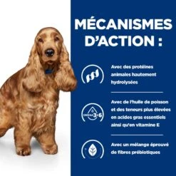 Hill's Prescription Diet Z/D AB+ Pour Chien Au Poulet -France Animalerie 52742040455 5 prescription diet chien z d croquettes