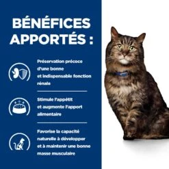 Hill's Prescription Diet K/D Early Stage Croquettes Pour Chat Au Poulet -France Animalerie 52742043630 4 prescription diet chat k d early stage croquettes poulet