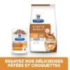 Hill's Prescription Diet K/D + Mobility Croquettes Pour Chat Au Poulet -France Animalerie 52742044767 3 prescription diet chat k d mobility croquettes poulet