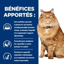 Hill's Prescription Diet K/D + Mobility Croquettes Pour Chat Au Poulet 16 Hill's Prescription Diet K/D + Mobility Croquettes Pour Chat Au Poulet -France Animalerie 52742044767 4 prescription diet chat k d mobility croquettes poulet