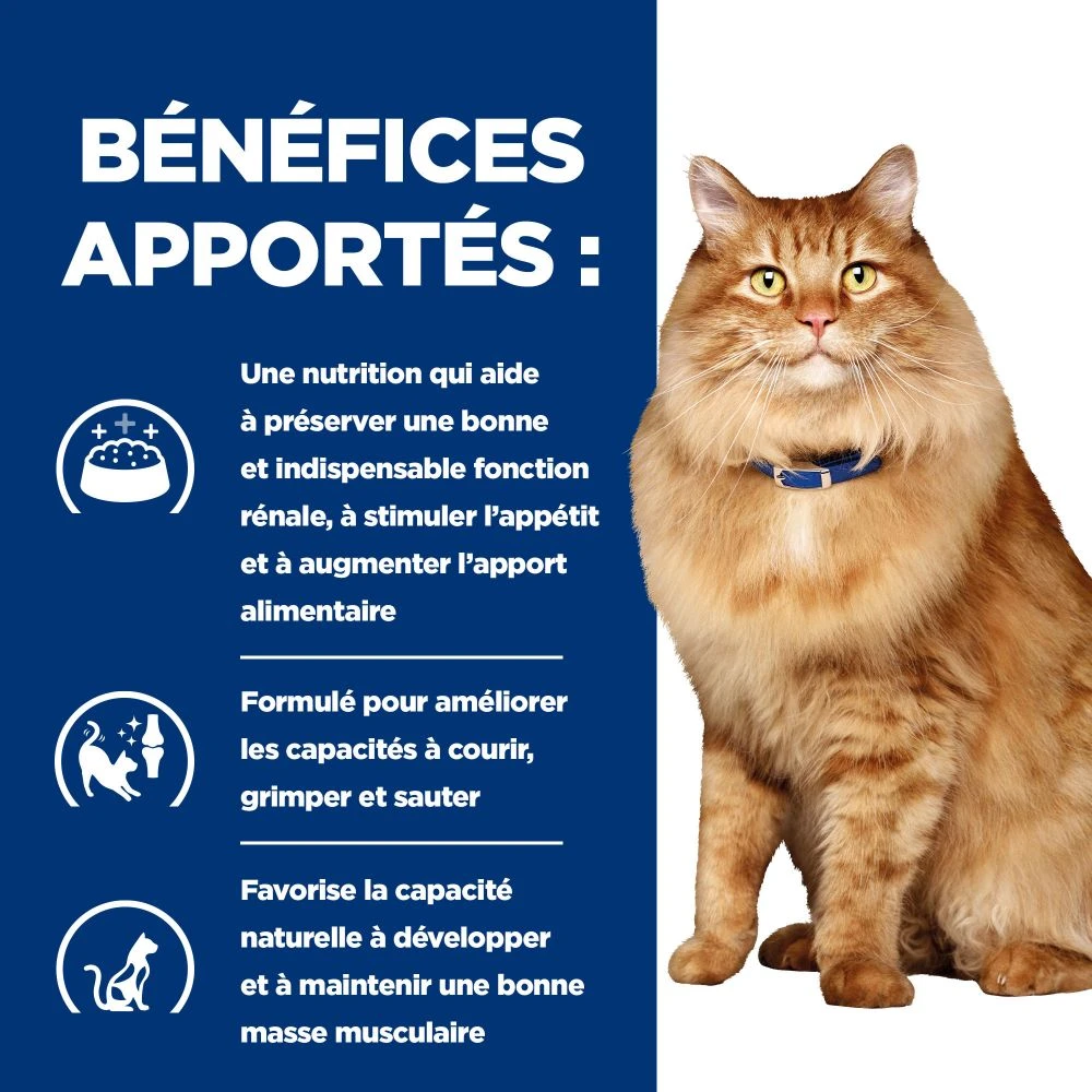 Hill's Prescription Diet K/D + Mobility Croquettes Pour Chat Au Poulet 7 Hill's Prescription Diet K/D + Mobility Croquettes Pour Chat Au Poulet – Image 5