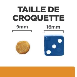 Hill's Prescription Diet K/D + Mobility Croquettes Pour Chat Au Poulet 18 Hill's Prescription Diet K/D + Mobility Croquettes Pour Chat Au Poulet -France Animalerie 52742044767 6 prescription diet chat k d mobility croquettes poulet