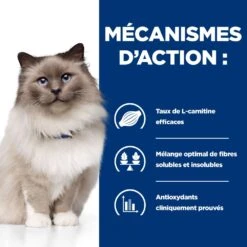 Hill's Prescription Diet R/D Weight Loss Pour Chat Au Poulet -France Animalerie 52742048185 4 prescription diet chat r d croquettes poulet