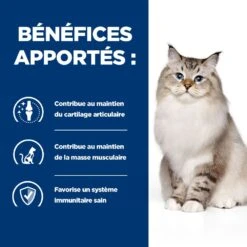 Hill's Prescription Diet J/D Croquettes Pour Chat Au Poulet 11 Hill's Prescription Diet J/D Croquettes Pour Chat Au Poulet -France Animalerie 52742048352 3 prescription diet chat j d croquettes poulet 1