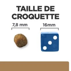 Hill's Prescription Diet J/D Croquettes Pour Chat Au Poulet 13 Hill's Prescription Diet J/D Croquettes Pour Chat Au Poulet -France Animalerie 52742048352 5 prescription diet chat j d croquettes poulet