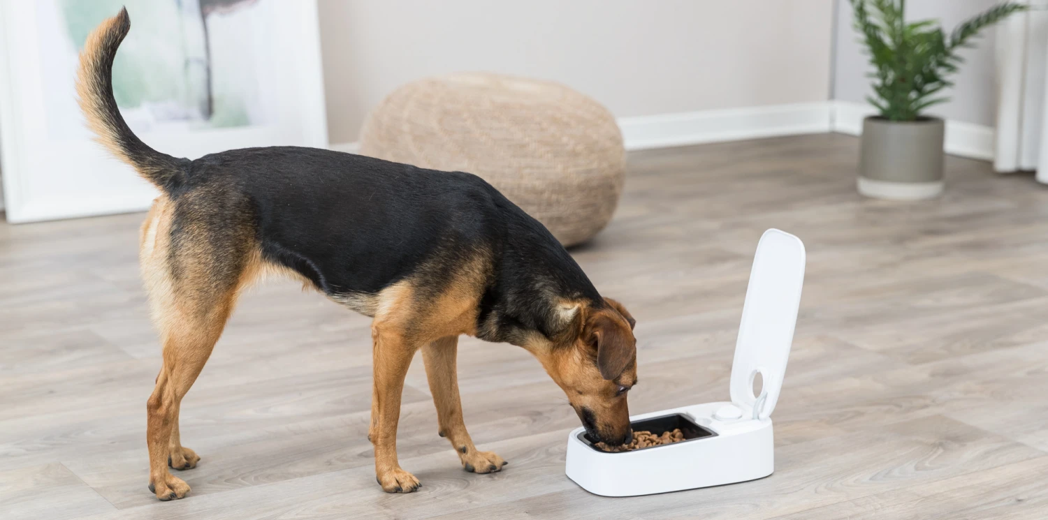 Trixie Distributeur Automatique De Nourriture Tx1 6 Trixie Distributeur Automatique De Nourriture Tx1 – Image 4