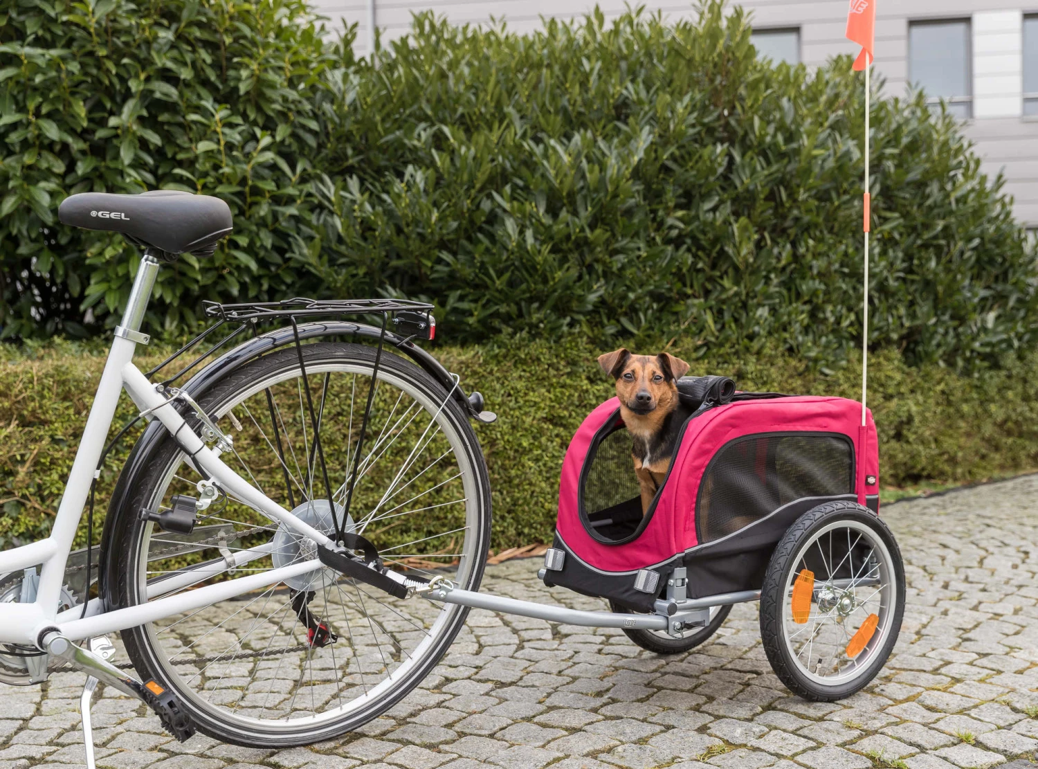 Trixie Remorque De Vélo Pour Chiens S 53 × 60 × 60 5 Trixie Remorque De Vélo Pour Chiens S 53 × 60 × 60 – Image 3