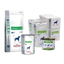 Royal Canin Urinary Chien 12 Royal Canin Urinary Chien -France Animalerie 79dbc42ddd876cf7d99fbddce1c3f3bfa57930b64eb2fb2a16b20c125b47feb6
