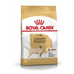 Meilleures ventes 21 Royal Canin Labrador Retriever Adult Pour Chien 12kg