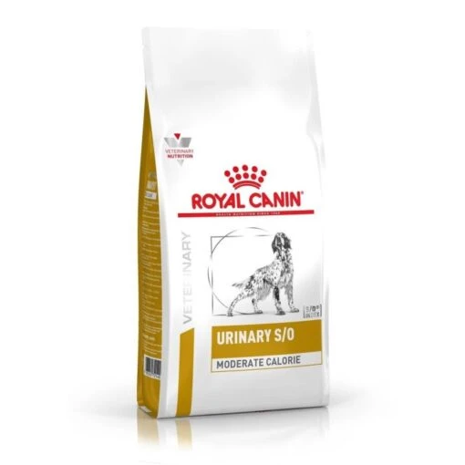 Royal Canin Urinary Moderate Calorie Chien