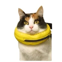 Collier Lune 9 Collier Lune -France Animalerie 86eaa3c4e19da65cd3ccf16b9b644242d1ea36ae29fd6c84734ea4df7c7f1d52 1