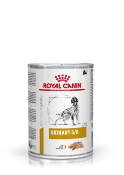 Royal Canin Urinary Chien 14 Royal Canin Urinary Chien -France Animalerie 89c8e96733913d1cf4d65a2ff404acfc4b0ad3fb86f77a43913e1d838ffd4824