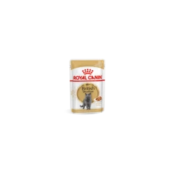 Royal Canin Britisch Shorthair Pour Chat 12 X 85g