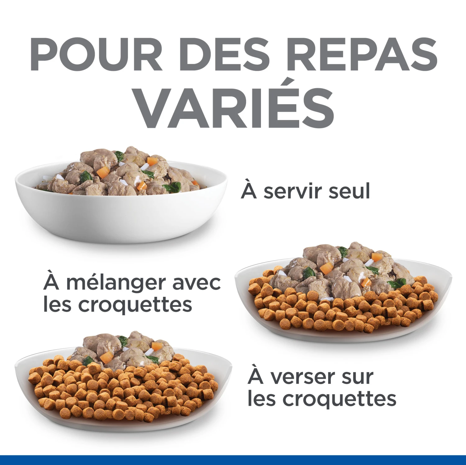 HILL'S SCIENCE PLAN HEALTHY CUISINE MIJOTÉS POUR CHIEN ADULTE SMALL & MINI AU POULET ET AU BŒUF 12X80G 8 HILL'S SCIENCE PLAN HEALTHY CUISINE MIJOTÉS POUR CHIEN ADULTE SMALL & MINI AU POULET ET AU BŒUF 12X80G – Image 6