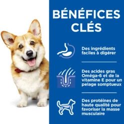 HILL'S SCIENCE PLAN HEALTHY CUISINE MIJOTÉS POUR CHIEN ADULTE SMALL & MINI AU POULET ET AU BŒUF 12X80G 19 HILL'S SCIENCE PLAN HEALTHY CUISINE MIJOTÉS POUR CHIEN ADULTE SMALL & MINI AU POULET ET AU BŒUF 12X80G -France Animalerie Hill s science plan chien adult healthy cuisine mijotes sachet repas poulet boeuf 12x80g 8 FR