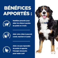 HILL'S PRESCRIPTION DIET METABOLIC + MOBILITY GESTION DU POIDS BOÎTES POUR CHIEN 12X370G 8 HILL'S PRESCRIPTION DIET METABOLIC + MOBILITY GESTION DU POIDS BOÎTES POUR CHIEN 12X370G -France Animalerie Hills prescription diet chien metabolic mobility boites poulet 2 FR