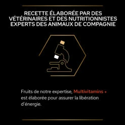 Purina PRO PLAN MULTIVITAMINS+ CHIEN ALIMENT COMPLEMENTAIRE - 67G -France Animalerie PRO PLAN MULTIVITAMINS DOG SUPPLEMENT 67G 8 FR