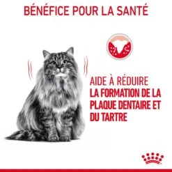 Royal Canin Dental Care Pour Chat 1,5kg -France Animalerie Royal Canin Dental Care Chat FR 06