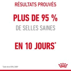 Royal Canin Digestive Care Pour Chat 4kg -France Animalerie Royal Canin Digestive Care Chat FR 06