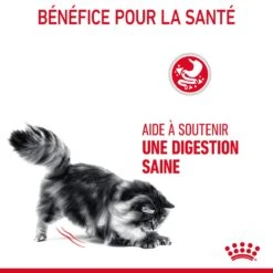 Royal Canin Digestive Care Pour Chat 4kg -France Animalerie Royal Canin Digestive Care Chat FR 07