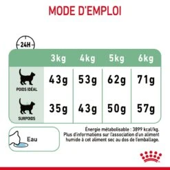 Royal Canin Digestive Care Pour Chat 4kg -France Animalerie Royal Canin Digestive Care Chat FR 09