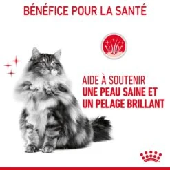 Royal Canin Hair & Skin Care En Sauce Pour Chat 12 Sachets De 85g -France Animalerie Royal Canin Hair Skin Care Gravy Chat FR 08