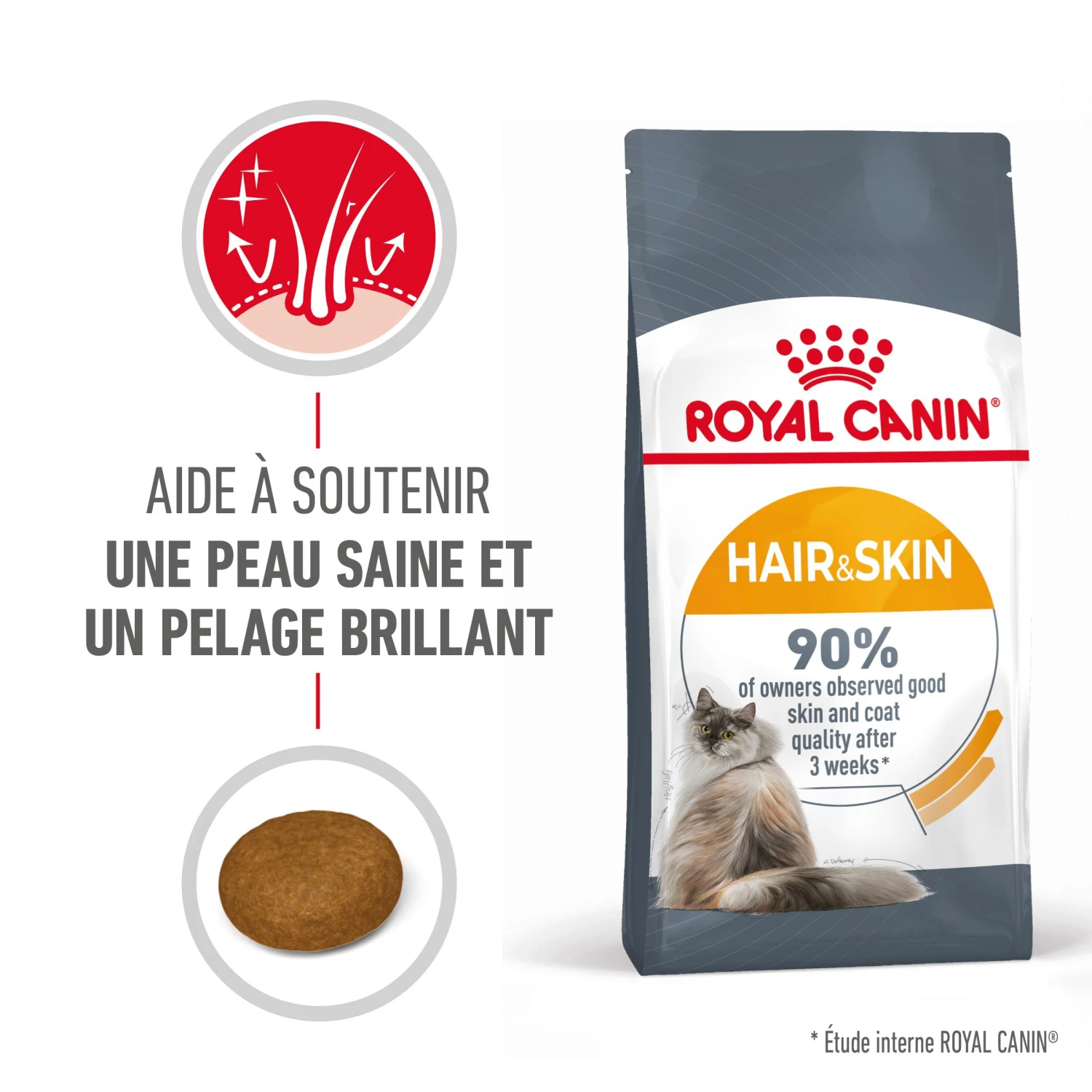 Royal Canin Hair & Skin Care Pour Chat 2kg 4 Royal Canin Hair & Skin Care Pour Chat 2kg – Image 2