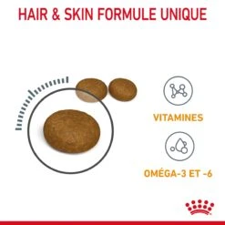 Royal Canin Hair & Skin Care Pour Chat 2kg 17 Royal Canin Hair & Skin Care Pour Chat 2kg -France Animalerie Royal Canin Hair skin Care Chat FR 05