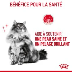Royal Canin Hair & Skin Care Pour Chat 4kg 19 Royal Canin Hair & Skin Care Pour Chat 4kg -France Animalerie Royal Canin Hair skin Care Chat FR 07 1