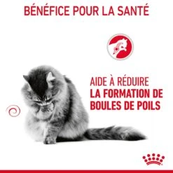 Royal Canin Hairball Care Pour Chat 2kg 19 Royal Canin Hairball Care Pour Chat 2kg -France Animalerie Royal Canin Hairball Care Chat FR 07