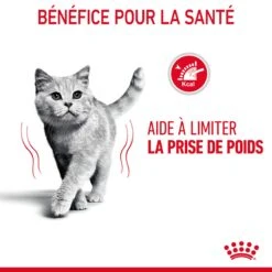 Royal Canin Light Weight Care En Sauce Pour Chat 12 Sachets De 85g 22 Royal Canin Light Weight Care En Sauce Pour Chat 12 Sachets De 85g -France Animalerie Royal Canin Light Weight Care Gravy Chat FR 08