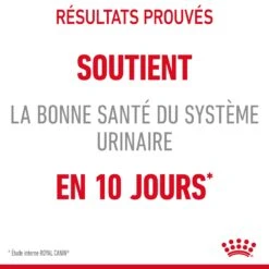 Royal Canin Urinary Care Pour Chat 4kg -France Animalerie Royal Canin Urinary Care Chat FR 06