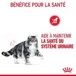 Royal Canin Urinary Care Pour Chat 4kg -France Animalerie Royal Canin Urinary Care Chat FR 07