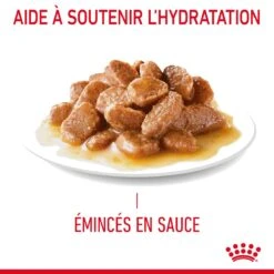 Royal Canin Urinary Care En Sauce Pour Chat 12 Sachets De 85g -France Animalerie Royal Canin Urinary Care Gravy Chat FR 08