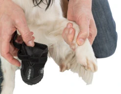 Trixie Chaussures De Protection Walker Active / M-L 2pcs. -France Animalerie a9ed7403e7270fba9cbe0c569267f57bb704d33b769ec1a5458f95b1bf0c54e0