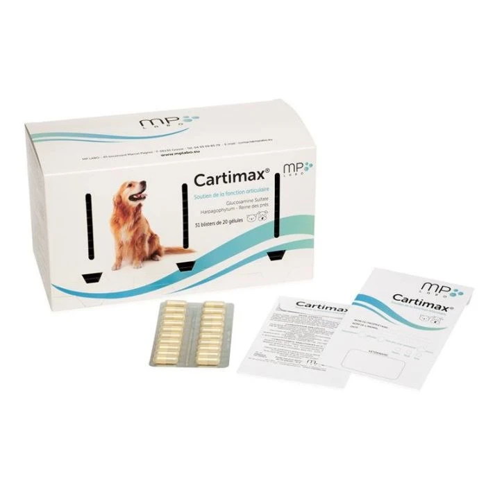 CARTIMAX 300 GÉLULES 15 BLISTERS DE 20 GÉLULES 3 CARTIMAX 300 GÉLULES 15 BLISTERS DE 20 GÉLULES