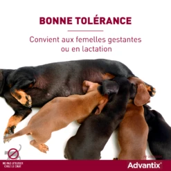 Advantix Chien Moyen 10-25Kg -France Animalerie advantix bonne tol rance