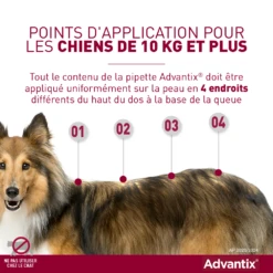 Advantix Chien Moyen 10-25Kg -France Animalerie advantix point d application grands chiens