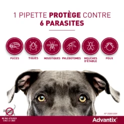 Advantix Petit Chien 4-10Kg 14 Advantix Petit Chien 4-10Kg -France Animalerie advantix spectre de protection 1