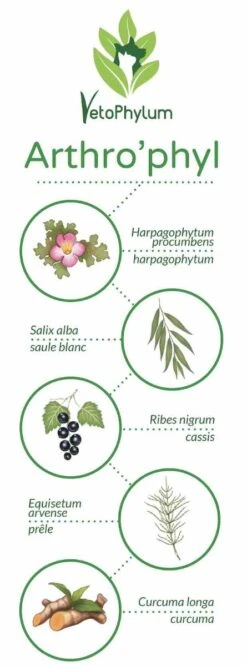 Arthro'Phyl -France Animalerie arthrophyl4