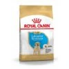 Royal Canin Labrador Retriever Chiot Pour Chien 3kg 1 Royal Canin Labrador Retriever Chiot Pour Chien 3kg -France Animalerie b893dc01554db0134b70f0d109ed0f581d5d4cb344868e23eca0425bd0d94dab