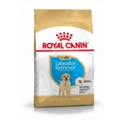 Meilleures ventes 1 Royal Canin Labrador Retriever Chiot Pour Chien 3kg