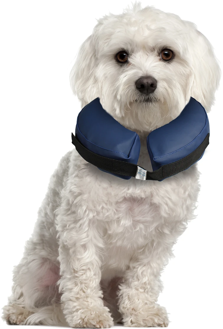 Flamingo Collier Gonflable Pour Chiens Gofi S 7 Flamingo Collier Gonflable Pour Chiens Gofi S – Image 5