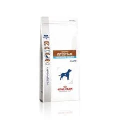 Royal Canin Gastro Intestinal Moderate Calorie Chien 7 Royal Canin Gastro Intestinal Moderate Calorie Chien -France Animalerie c96be46b08946a606f224303102df65abfaed4d03ddb9e5c7287ed64f3014855