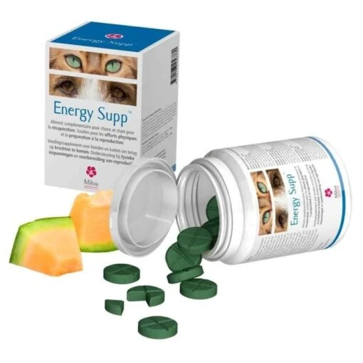 Energy Supp Miloa - 30 Comprimés