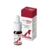 Sativavet Active Strong 10ml 2 Sativavet Active Strong 10ml -France Animalerie e04e671f966512ddfb197bff0e2a0b215d9d9946b1ad36691570735df4b64bdd