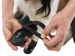 Trixie Chaussures De Protection Walker Active / M-L 2pcs. -France Animalerie e08062450bd8a32b408258fb4c31ff7f7447657b0f4f3fa1ecca0f8550d45313