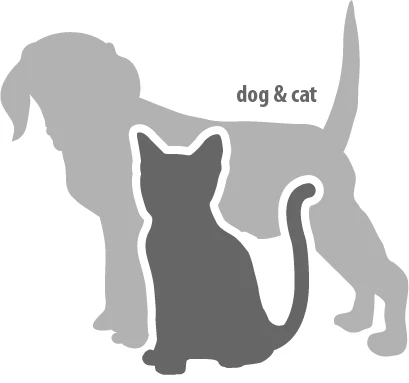 Flamingo Lingettes Yeux-Oreilles 80pcs 5 Flamingo Lingettes Yeux-Oreilles 80pcs – Image 3